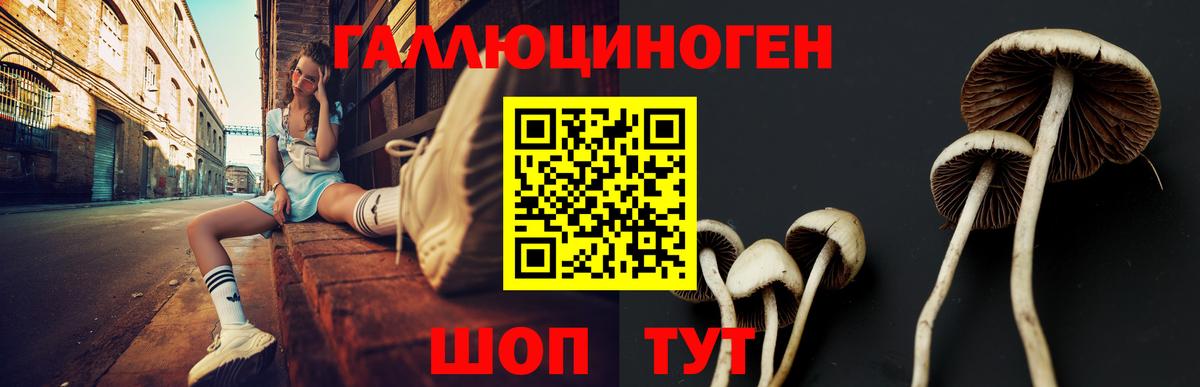 Сорочинск  Псилоцибиновые грибы прущие грибы  Псилоцибиновые грибы мицелий  Вход с VPN 