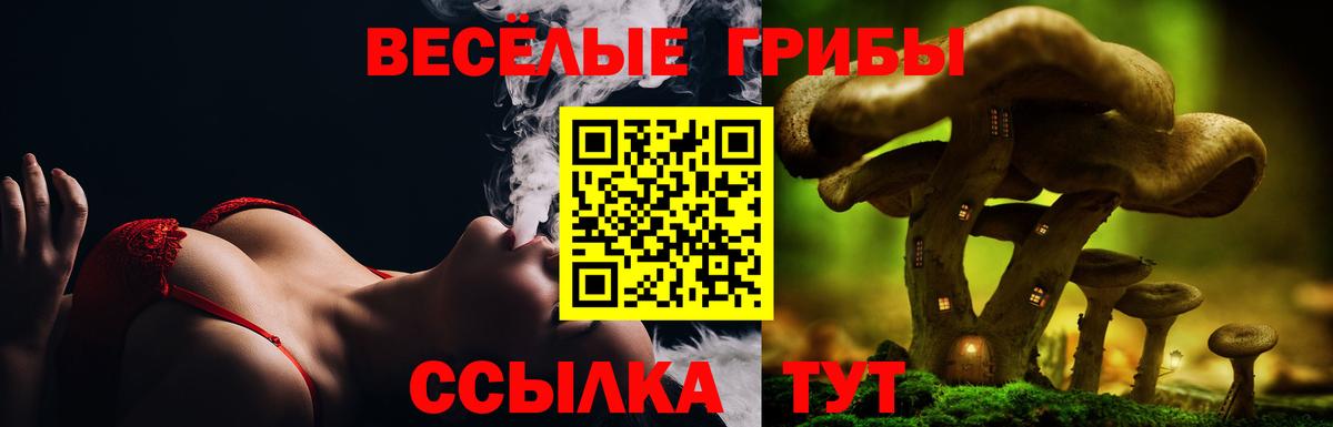 Галлюциногенные грибы MAGIC MUSHROOMS Сорочинск