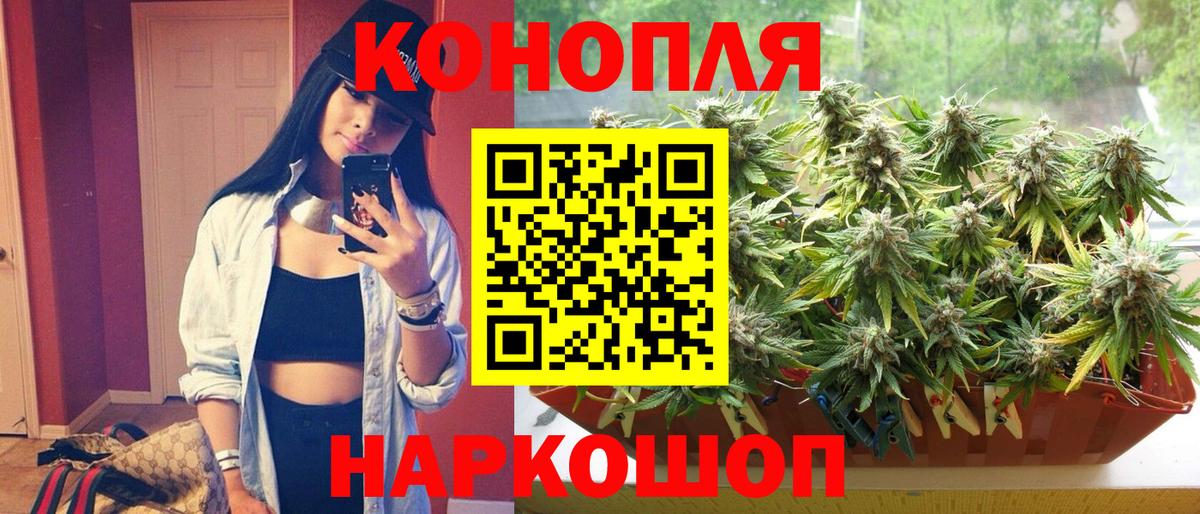 Каннабис индика  Бошки марихуана план  Вход с VPN  Каннабис ГИДРОПОН  Сорочинск 